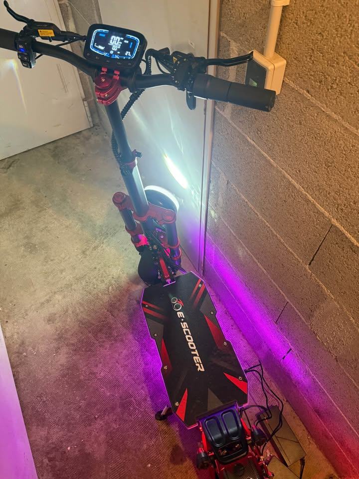 Trot électrique